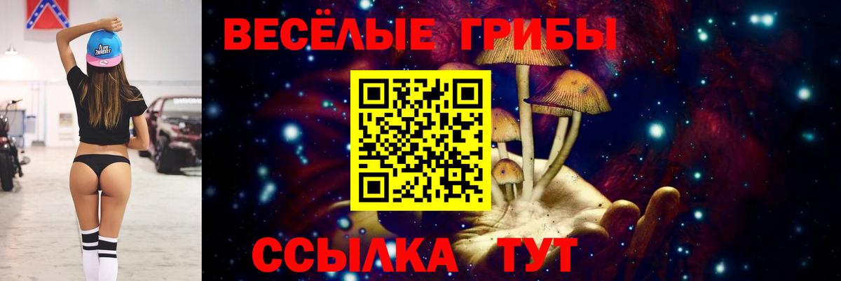 Псилоцибиновые грибы Cubensis  Вход с VPN  Минеральные Воды 